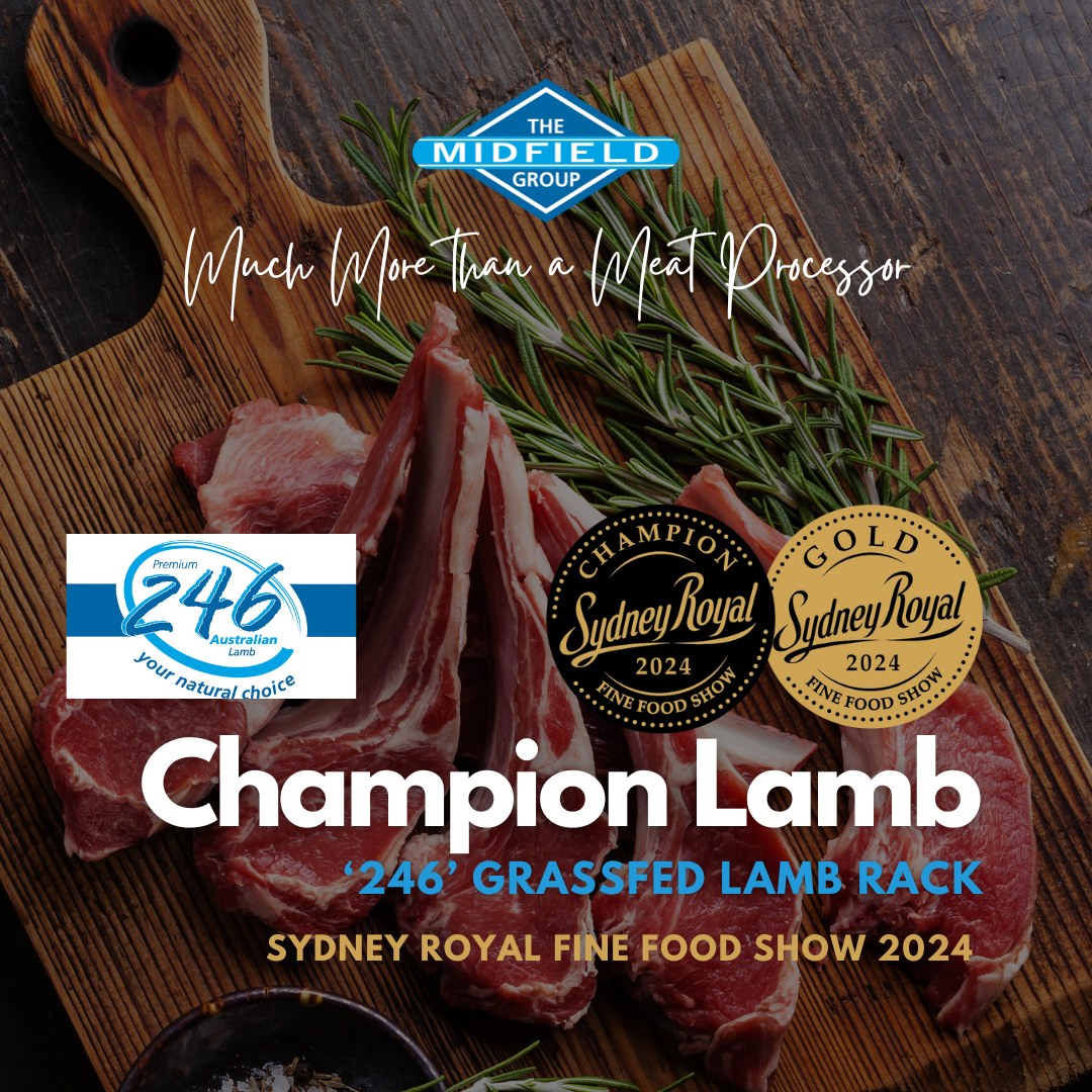 CHAMPION LAMB (5)