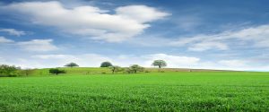Countryside