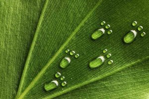 Environmental footprint