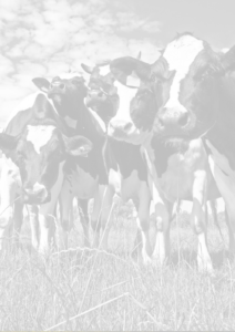 Farms Site Induction Certificate Background Image