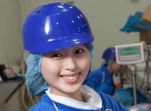 How to wear hair net copy