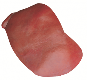 Liver 6080