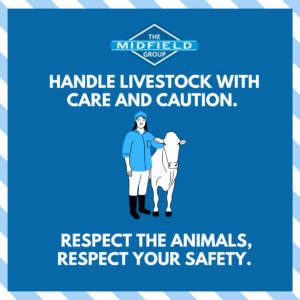 Safety Messages 31