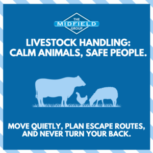Safety message 8