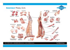Sheepmeat Primal Cut Brochure