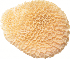 Tripe honeycomb 6152
