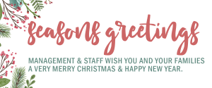 Website Xmas Greeting