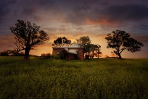 homestead gallery