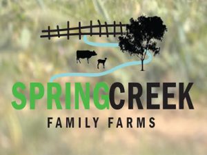 spring creek logo 400x300