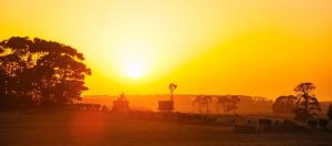 unionstation farm sunset